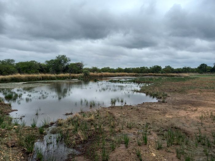 Farm For Sale in Dinokeng Game Reserve: 121 hectares, equipped house, game breeding.