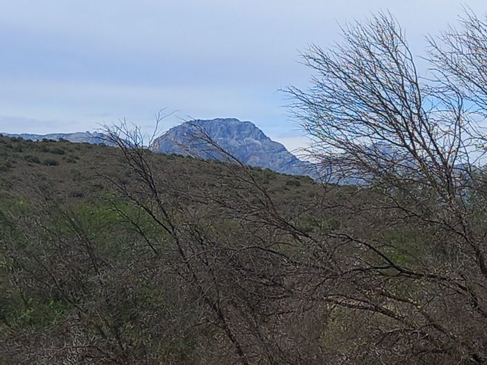 Ladismith Rural Farm For Sale: 59 ha in Buffelsdrift Conservancy with nature access.