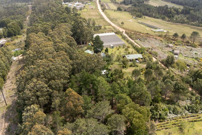 Harkerville AH Farm For Sale: Two homes, expansive gardens, borehole, and workshops.