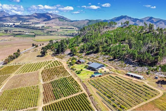 For Sale: 26-hectare Protea flower farm in George Rural with ample water rights.