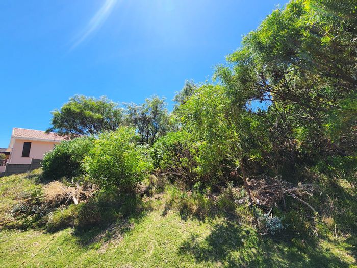 Vacant Land Residential in The Heads For Sale: Elevation, lagoon views, near beach access.