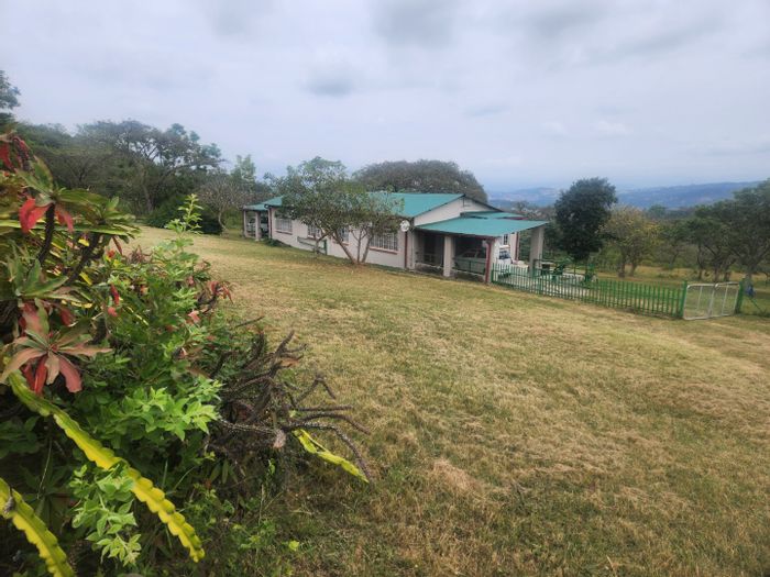 For Sale: Income-generating farm in White River Rural with 4 rental houses.