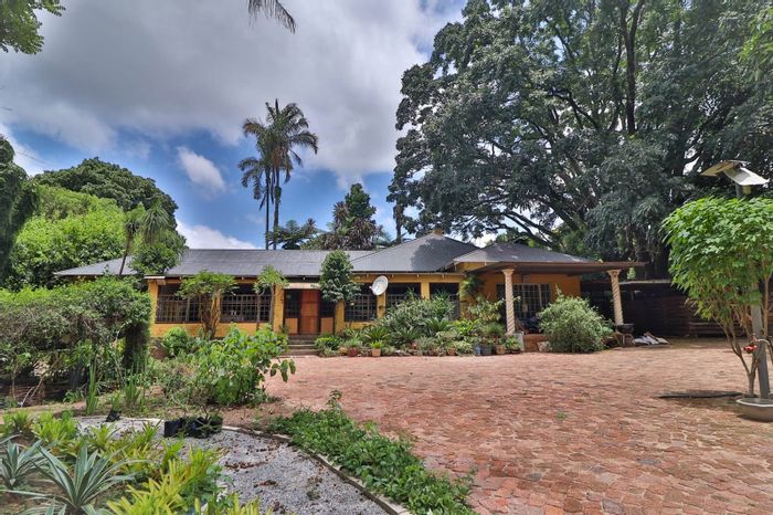 For Sale: White River Rural Farm with 5 units, gardens, and macadamia trees.