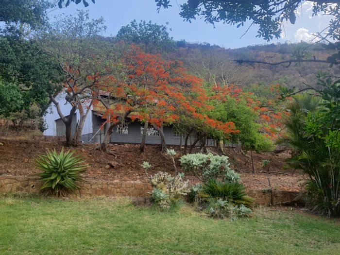 Versatile Zandfontein AH farm for sale: five bedrooms, bar, orchards, and garages.