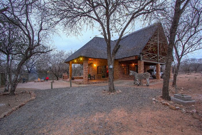 For Sale: House in Marloth Park Central with pool, cottage, and wildlife views.