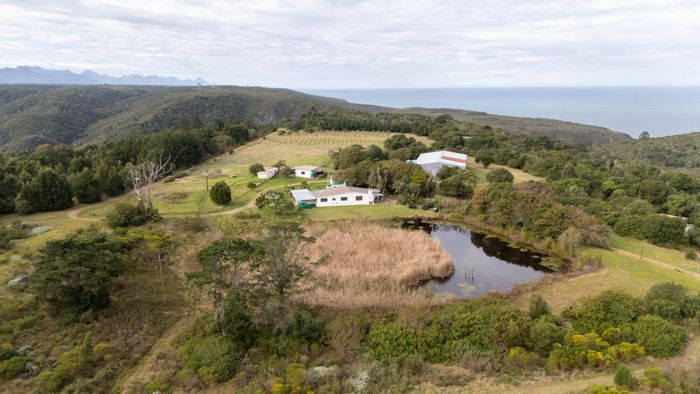 For Sale: 106ha Farm in Plettenberg Bay Rural with workshop, vineyard, and water resources.