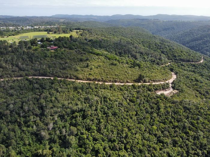 Rheenendal Farm For Sale: 27ha with river frontage, indigenous forest, off-grid potential.