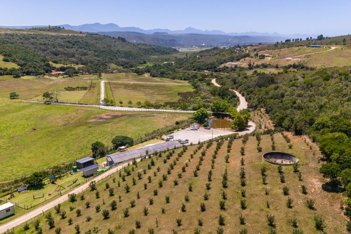 Plettenberg Bay Rural Farm For Sale: Stream, grazing land, income potential, renovation opportunities.