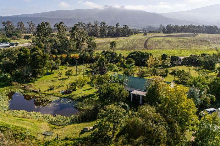 Plettenberg Bay Rural Farm For Sale: 2.6 hectares, gardens, fruit trees, versatile spaces.