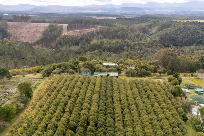 For Sale: Plettenberg Bay Rural Farm with macadamia production, home, pool, and staff facilities.