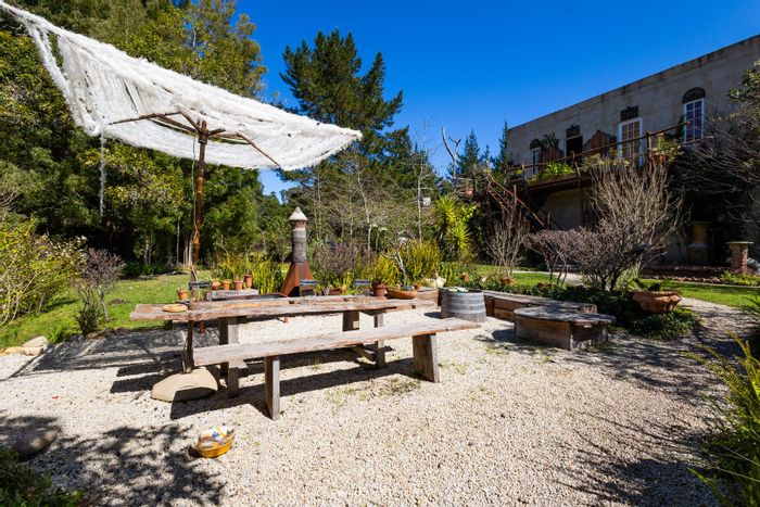 Versatile 13.43ha farm in Plettenberg Bay Rural with guest accommodation and scenic views.