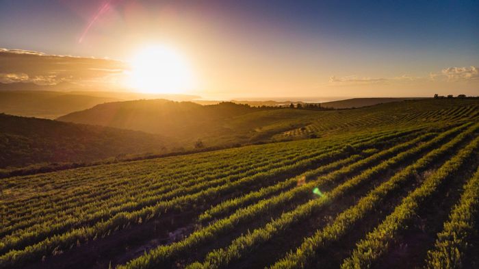 For Sale: Wittedrift AH Farm with lagoon, river frontage, and development potential.