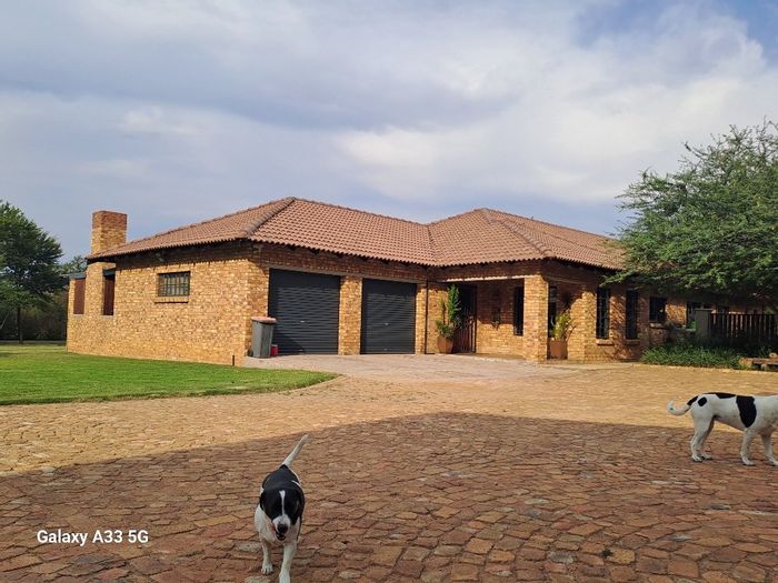 Kameelfontein Farm For Sale: Spacious land, water access, and livestock facilities.