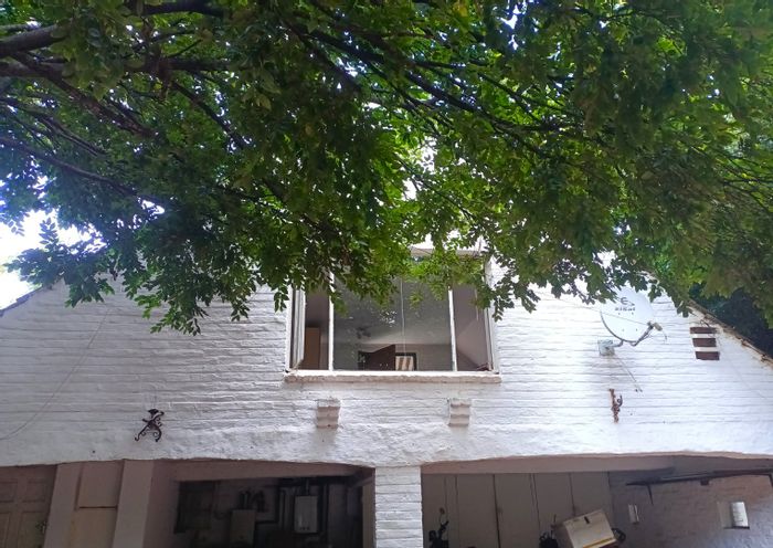 To Rent: Apartment in Melrose North, studio loft with utilities and laundry included.