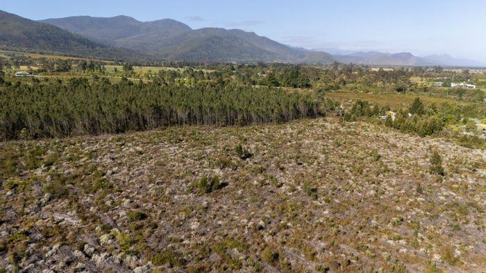 For Sale: 8.26ha Farm in Plettenberg Bay Rural with cottage, multiple house sites, and forest pathways.