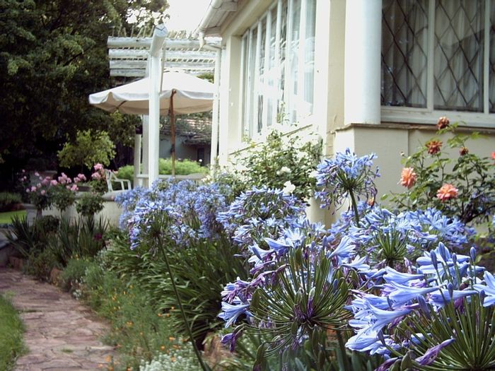 Rosebank Apartment To Rent: 1 bedroom, garden views, close to amenities.