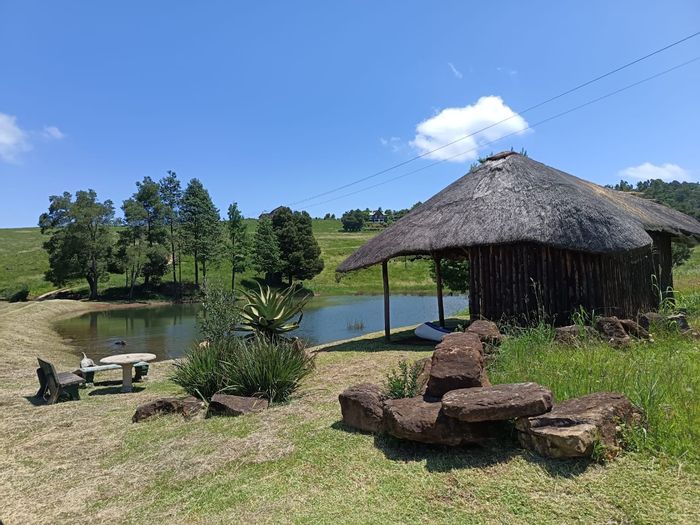 For Sale: 23-hectare farm in Howick North with multiple dwellings and amenities.