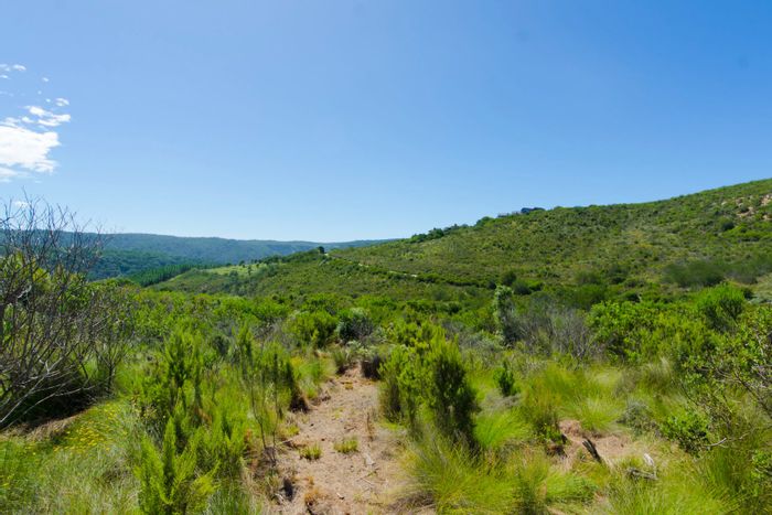 Pezula Private Estate: For Sale, Vacant Land Residential with serene views and privacy.