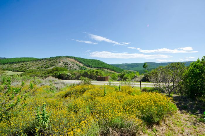 Pezula Private Estate For Sale: 6009m² vacant land near driving range and nature views.