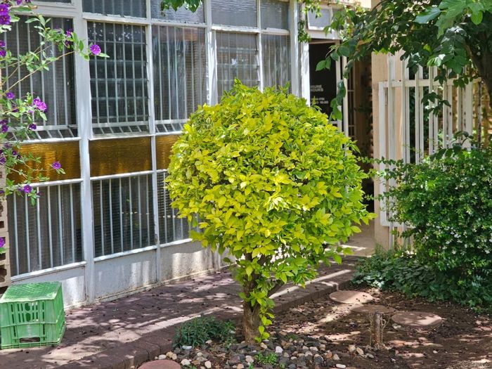 For Sale: Apartment in Westdene, ideal for conversion to student accommodation, near CUT.