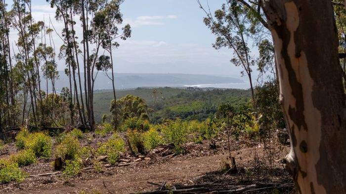 Vacant Land Residential For Sale in Plettenberg Bay Rural with river access and views.