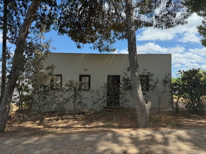 House For Sale in Van Wyksdorp: Natural water source, room to grow, mature trees.