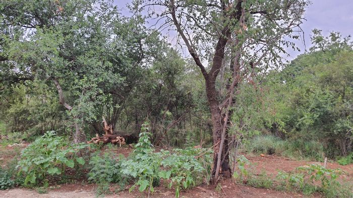 Vacant Land Residential For Sale in La Camargue: Wildlife, trails, clubhouse, 24-hour security.