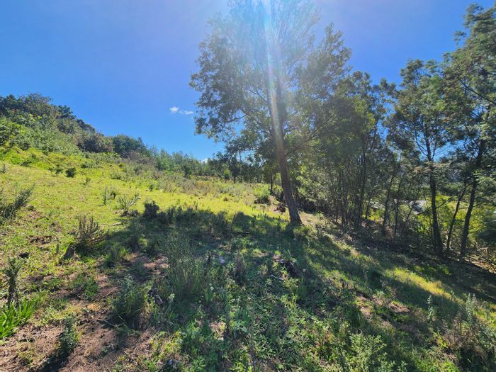 Vacant Land Residential in Knysna Heights For Sale, 1109m² with lagoon views.
