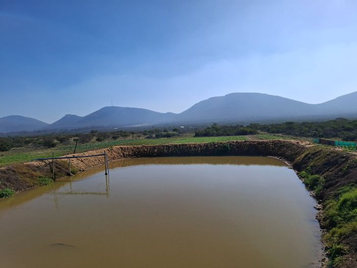 For Sale: Farm in Albertinia Central with extensive infrastructure and water resources.