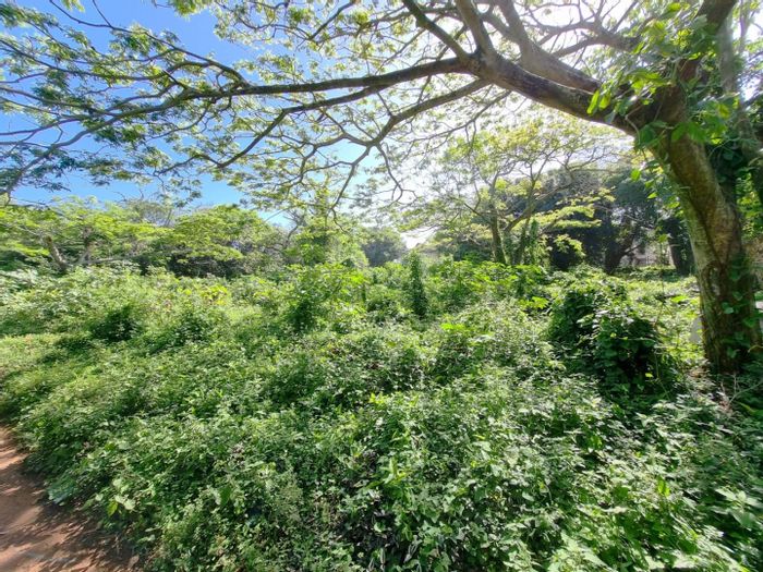 Vacant Land Residential For Sale in Illovo Beach with development potential and serene surroundings.