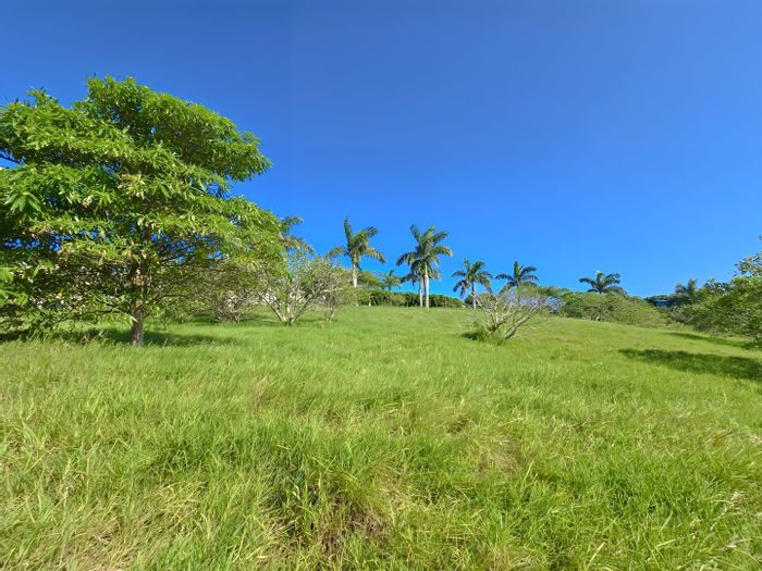 Vacant Land Residential in Palm Lakes Estate For Sale: Access to pools, clubhouse, security.