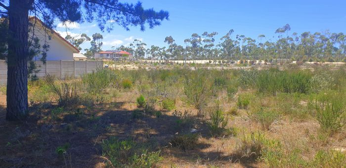 Vacant Land Residential For Sale in Albertinia Central, 450 m² in secure complex.
