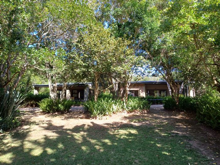 5-bedroom house in Wilderness Heights with pool, workshop, and expansive land for sale.