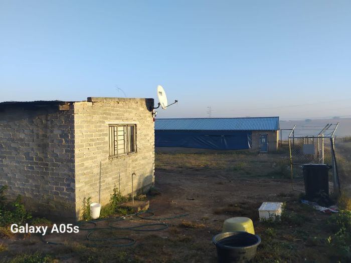 5-hectare farm in Laezonia available to rent for diverse agricultural ventures.