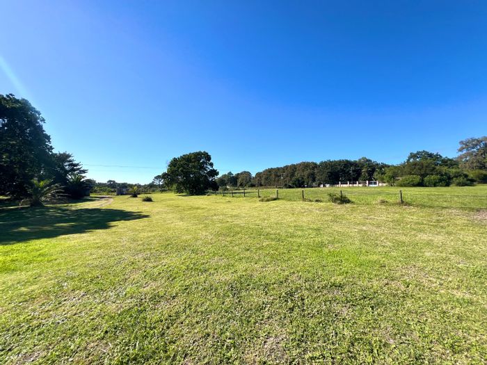 Farm for Sale in Theescombe: Equestrian facilities, income cottages, spacious land.