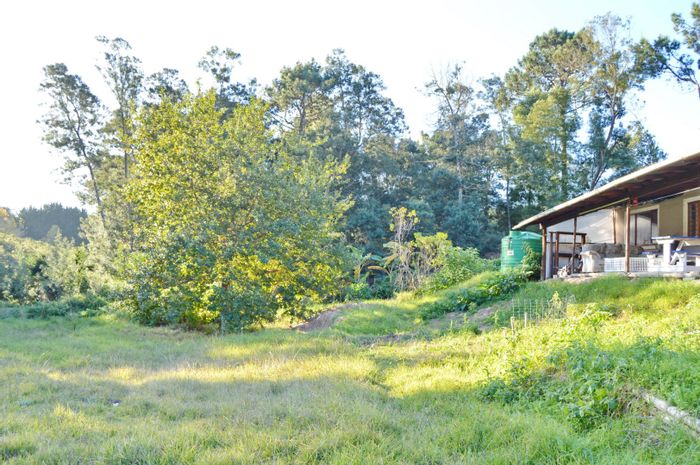 Harkerville AH Farm For Sale: Main farmhouse, cottages, off-grid, wildlife visits.