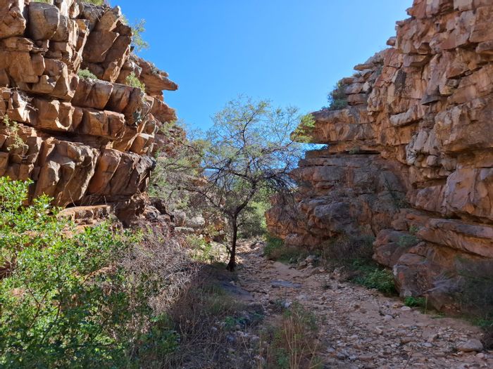 41 Ha farm in Ladismith Rural for sale with arable land and water access.