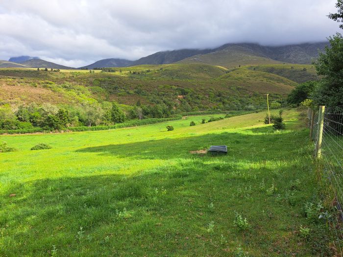 79 Ha Buffalo Farm in Riversdale Rural: Grazing Camps, Irrigation Rights, Infrastructure For Sale.