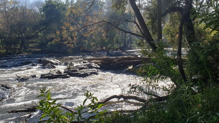 Hennops River Farm For Sale: 2.9 hectares with river frontage and serene surroundings.