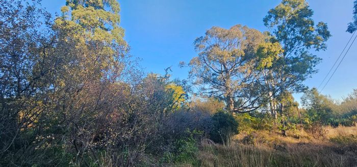 Vacant Land Residential For Sale in Vaal Marina Central, 1247 m² with mature trees.