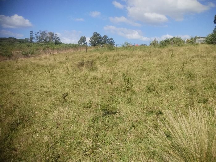 Vacant Residential Land for Sale in Ongoye, ideal for student accommodation development.