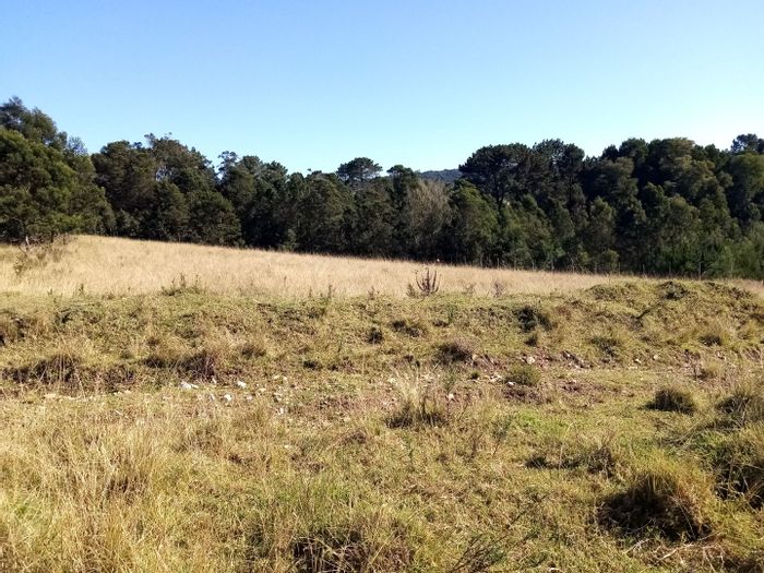 Vacant Land Residential For Sale in Plettenberg Bay Rural, 12.99Ha with diverse opportunities.