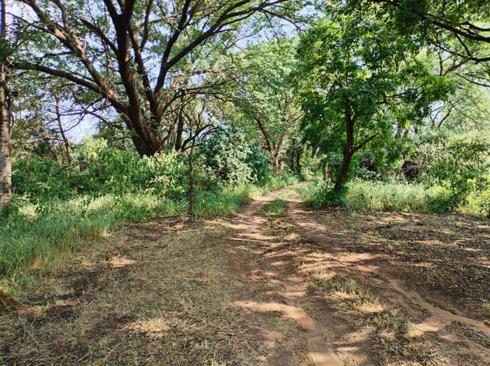 Bultfontein AH Farm For Sale: 5-bedroom home, agricultural potential, multiple water sources.
