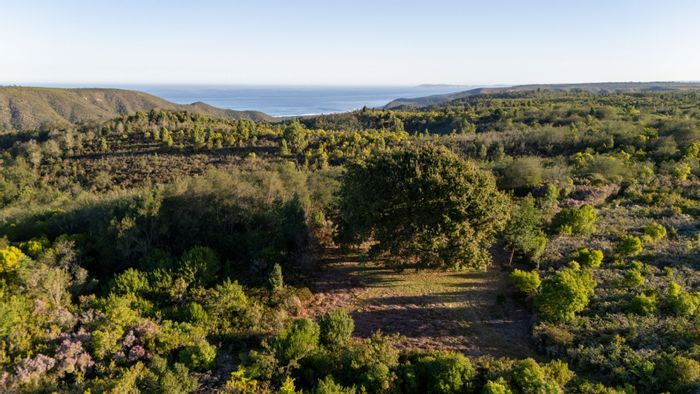 51.17ha Farm For Sale in Natures Valley with natural beauty and private access.