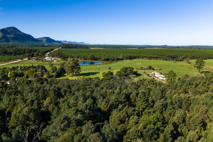 For Sale: Tsitsikamma Farm with homestead, cottage, workshops, and extensive water resources.