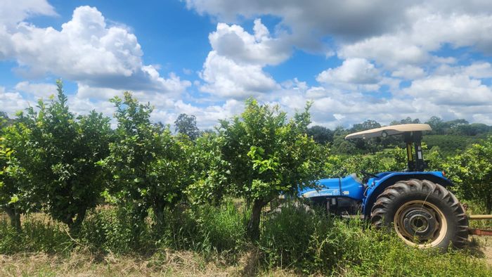 For Sale: Vacant Land Residential in White River Rural, ideal for farming or building.