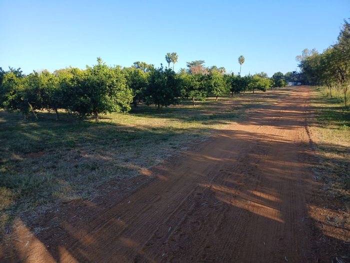 Vasfontein AH Farm For Sale: 17 rental units, citrus production, water rights.