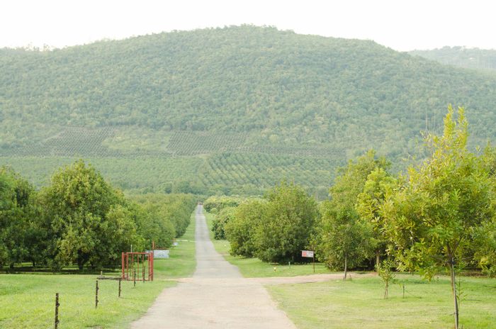 Commercial property for sale in White River Rural with lodge, spa, and restaurant.