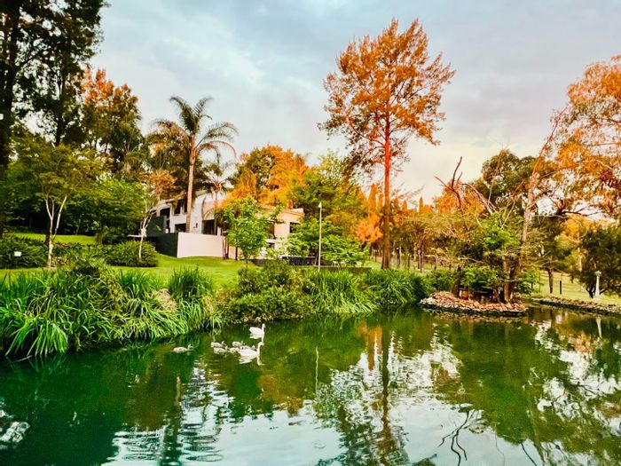 Doornkloof House For Sale: 6 bedrooms, equestrian facilities, solar power, spacious land.