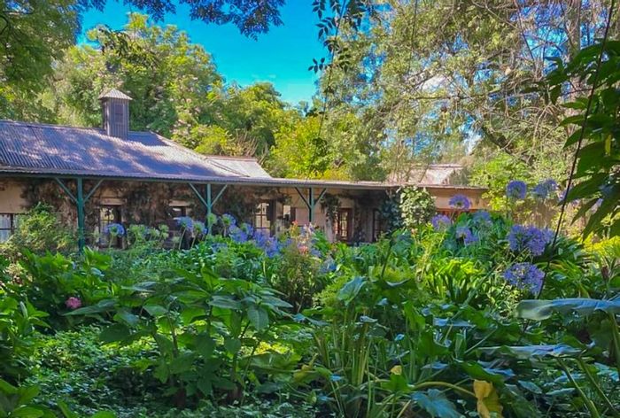 For Sale: Versatile 9-hectare farm in Knoppieslaagte with multiple structures and amenities.